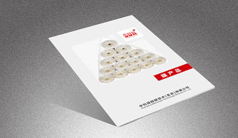 美凯广告中科瑞阳画册设计与人工智能公共服务平台技术咨询服务